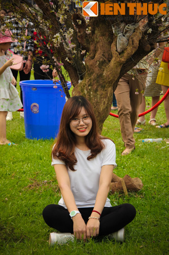 Nhiều người tham gia lễ hội khi ngắm nhìn cây hoa trên đã cảm thấy vô cùng thất vọng vì đã không được thưởng thức trọn vẹn được loài cây được phong là Quốc hoa của xứ Phù Tang.