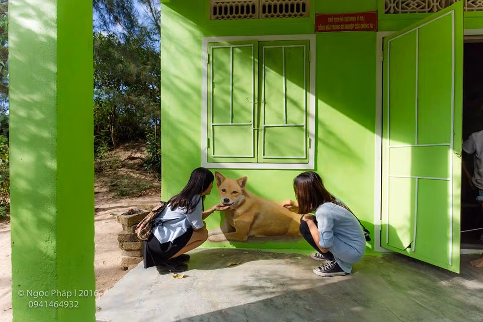 Ảnh sử dụng trong bài: Ngọc Pháp.