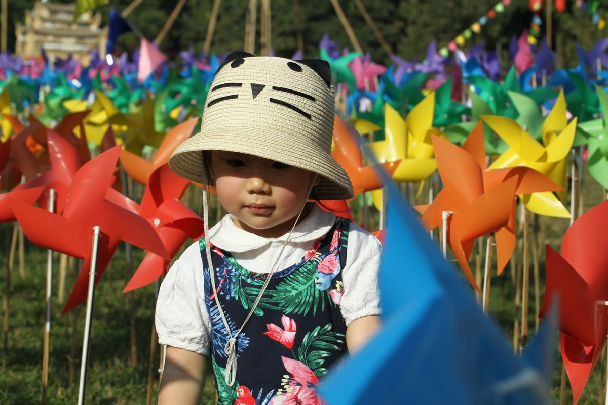 Rất nhiều gia đình đã đưa con nhỏ tới Hoàng thành Thăng Long dịp Tết Kỷ Hợi 2019 để hòa mình vào không gian cực đẹp được tạo nên bởi những cánh chong chóng.