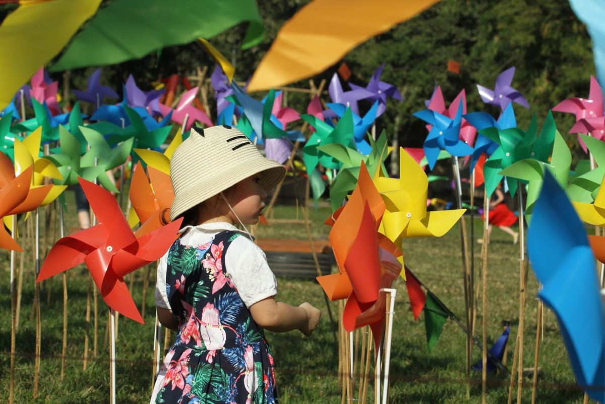 Cánh đồng chong chóng tại Hoàng thành Thăng Long được tạo nên bởi hàng trăm cánh chong chóng. Ngoài con đường treo chong chóng chính giữa thì xung quanh, BTC cũng đã cắm những chiếc chong chóng đơn tạo nên cảnh tượng rất đẹp.