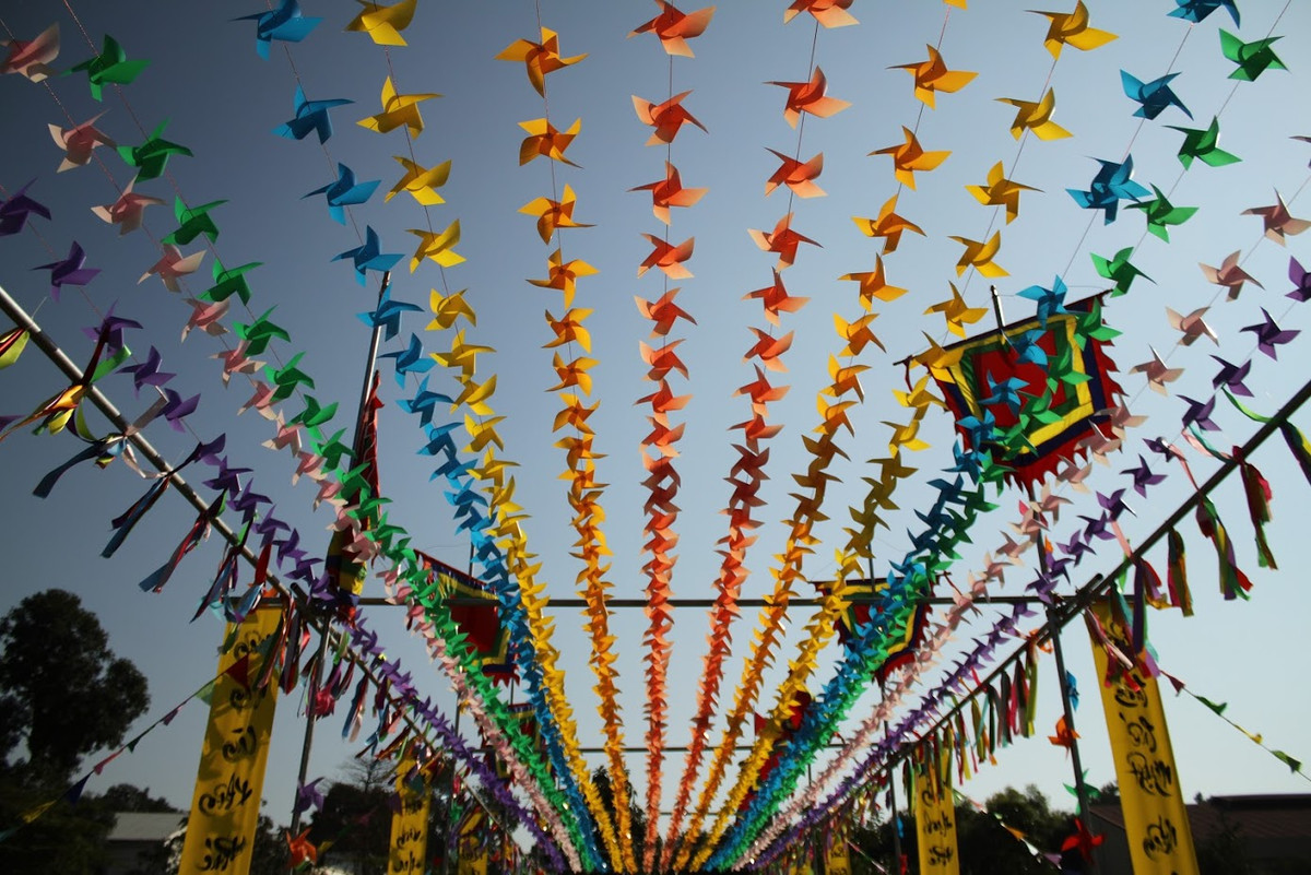 Con đường chong chóng trở thành bối cảnh để không ít khách du lịch trong nước cũng như nước ngoài chụp ảnh lưu niệm.