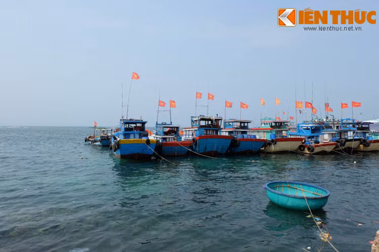 Dao Ly Son: Thien duong cho dan phuot yeu bien dao