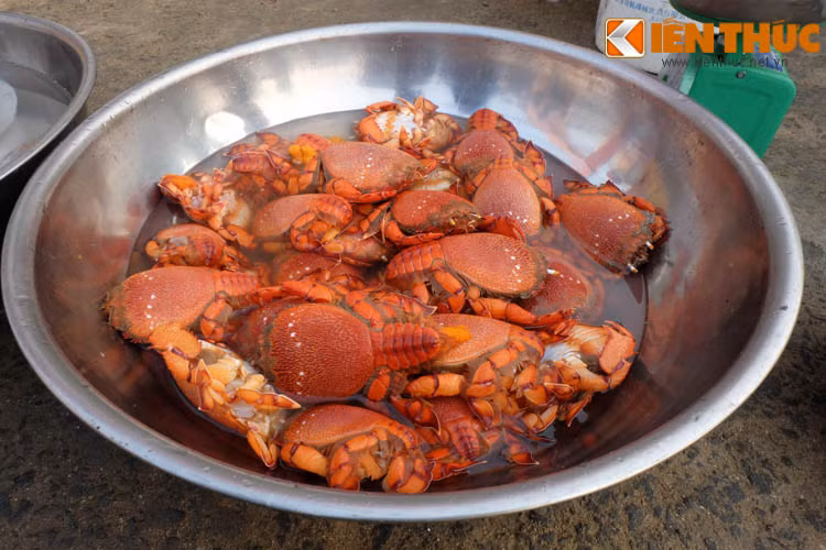 Một chậu cua Huỳnh Đế được ngư dân bày bán ở chợ. Ảnh: Hoàng Linh.