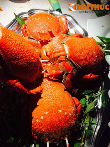 Ngoài tham quan du lịch, ẩm thực Lý Sơn cũng là một thứ rất hấp dẫn với du khách. Đặc sản của Lý Sơn là món cua Huỳnh Đế.