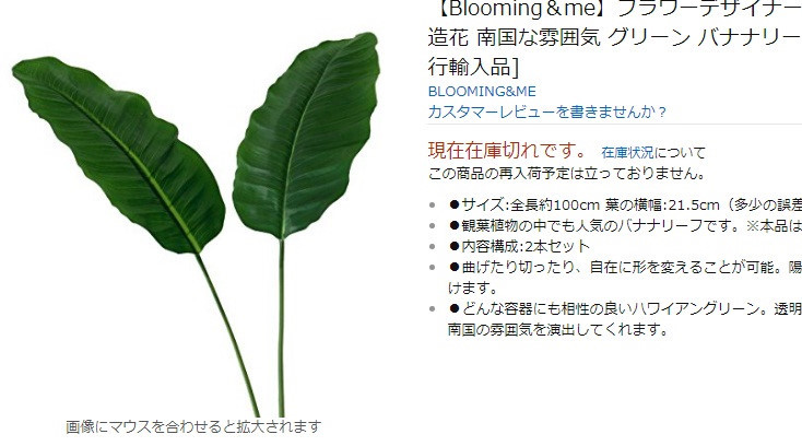 Sự đắt giá của những chiếc lá chuối tươi đã khiến dân mạng đưa ra nhiều bình luận khác nhau. Trong khi ở Việt Nam thì vứt đầy đường thì sang tới Nhật Bản những chiếc lá chuối này dường như tăng giá trị bất ngờ.