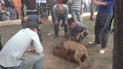 Ảnh trong bài: Facebook.