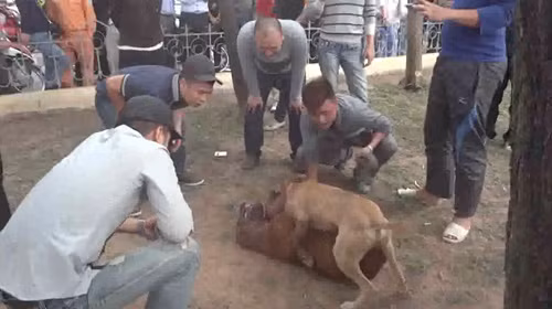 Ảnh trong bài: Facebook.