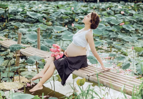 Hà Nội đang vào mùa sen nở, khắp phố phường những xe bán hoa sen rông ruổi khiến nhiều người lại có chút xao xuyến trước vẻ đẹp thuần khiết của loài hoa này.