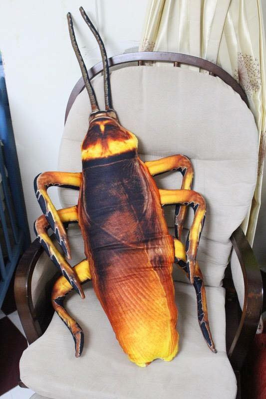 Từ phần đầu, đến từng chi tiết râu, chân của con gián khiến nhiều người mới nhìn phải giật mình.