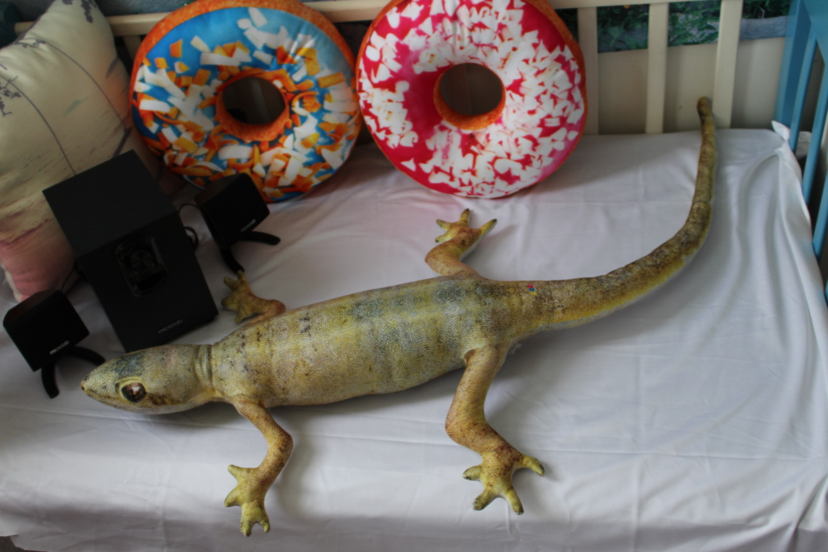 Không chỉ có gián mà những con động vật kinh dị khác cũng được chuyển thành gối nhồi bông như thạch sùng, chuột, cá sấu hay cả bọ xít...