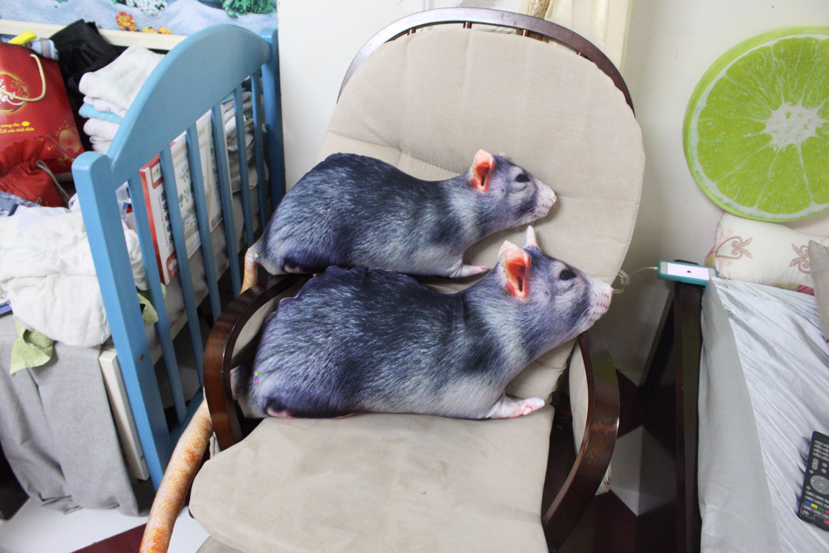 Một cặp đôi gối ôm chuột nhồi bông được các bạn trẻ sưu tầm.