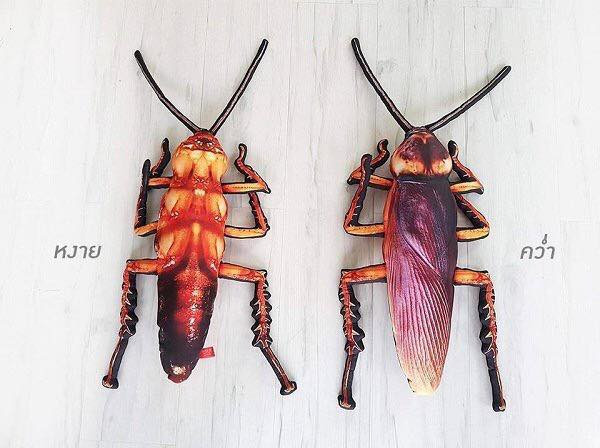 Xuất hiện lần đầu tiên ở Thái Lan, gối ôm con gián đã lan truyền tới Việt Nam và được nhiều bạn trẻ tìm mua để tạo nên sự khác biệt hay để dọa những người xung quanh.