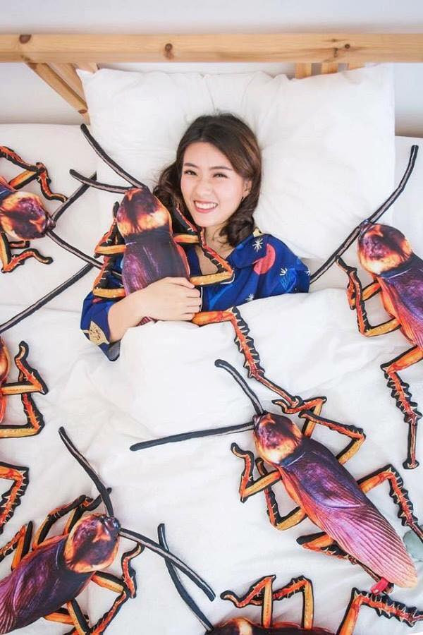 Sau khi xuất hiện trên mạng xã hội , chiếc gối nhồi bông con gián được các bạn trẻ khá ưa chuộng. Thậm chí nhiều bạn không chỉ mua một mà mua tới chục "chú" để về trang trí phòng ngủ.