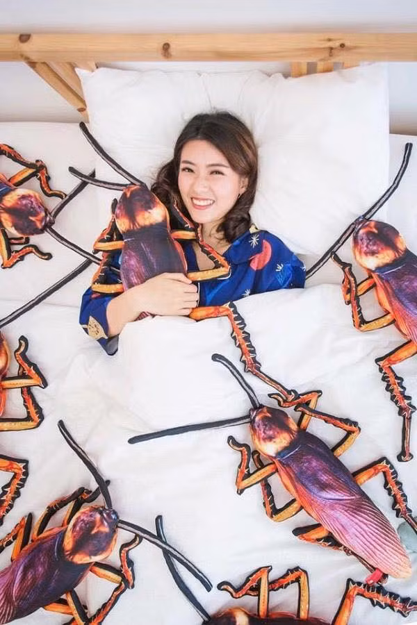 Sau khi xuất hiện trên mạng xã hội , chiếc gối nhồi bông con gián được các bạn trẻ khá ưa chuộng. Thậm chí nhiều bạn không chỉ mua một mà mua tới chục "chú" để về trang trí phòng ngủ.