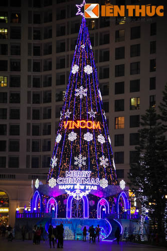 Thông là loại cây không thể thiếu trong ngày Noel. Vì Việt Nam là đất nước có khí hậu nhiệt đới nên không có thông thật nên những cây thông giả đã được dựng lên để làm địa điểm chụp ảnh cho các bạn trẻ.