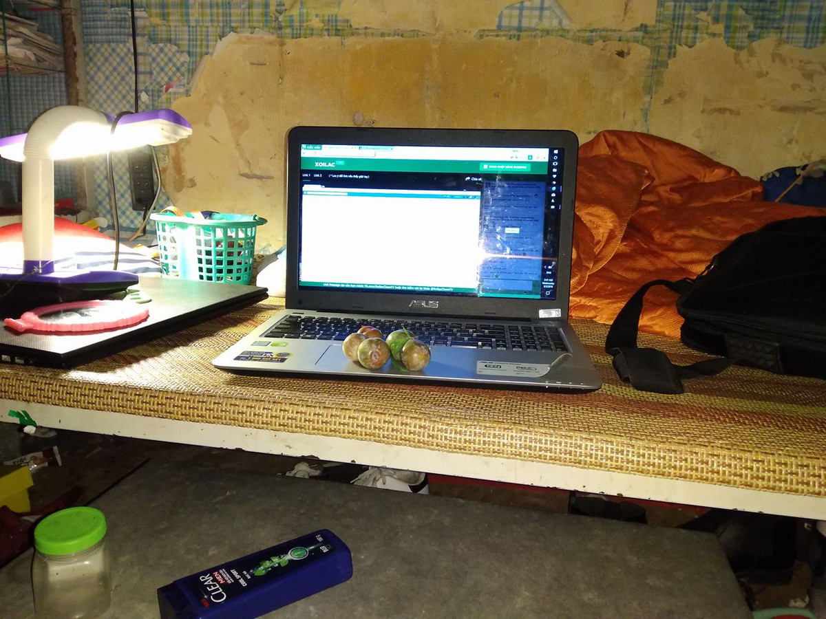 Vài quả mận cũng là đủ cho một thanh niên xem World Cup qua mạng Internet.