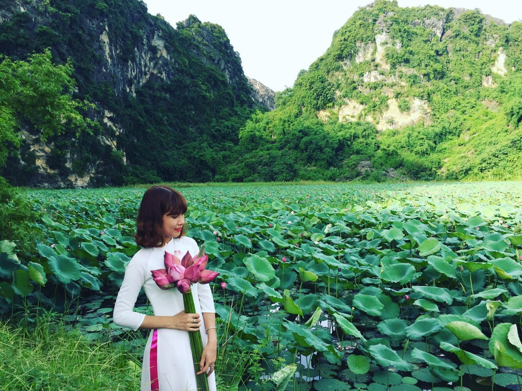 Hoa sen ở An Phú chủ yếu là sen hồng cánh đơn, đang vào mùa nên những ngày này cả vùng quê Mỹ Đức vẫn được bao phủ bởi hương sen thơm ngát.