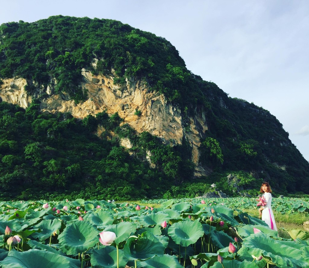 Trước đây đầm sen này là vùng đất trũng, chỉ dùng để trồng lúa. Vài năm trở lại đây, các hộ dân ở đây đã quyết định chuyển qua trồng hoa sen vì nhận thấy trồng loại hoa này vừa không lãng phí nguồn đất mà lại còn trở thành địa điểm để người dân tới tham quan.