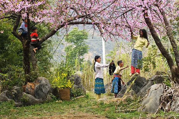 Đầu tiên, hãy nhìn vào vấn đề truyền thống, Tết Nguyên Đán hay còn gọi là dịp Tết âm lịch là một ngày lễ cực quan trọng với người Á Đông nói chung và người Việt Nam nói riêng. Ngày Tết là thời điểm các thành viên trong gia đình đoàn tụ, sum họp, quây quần bên nhau. Người đi xa mong về quê, người ở nhà mong ngóng người ở xa, mang ý nghĩa gắn kết tình cảm thiêng liêng trong mỗi gia đình.