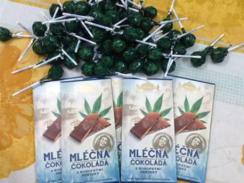 "Bánh cần", "Chocolate cần" và mới đây nhất là " kẹo mút cần sa" là những thứ đồ ăn trá hình của ma túy cần sa đang len lỏi vào trong cuộc sống của giới trẻ hiện đại và gây ra không ít những tác hại cho sức khỏe người sử dụng.