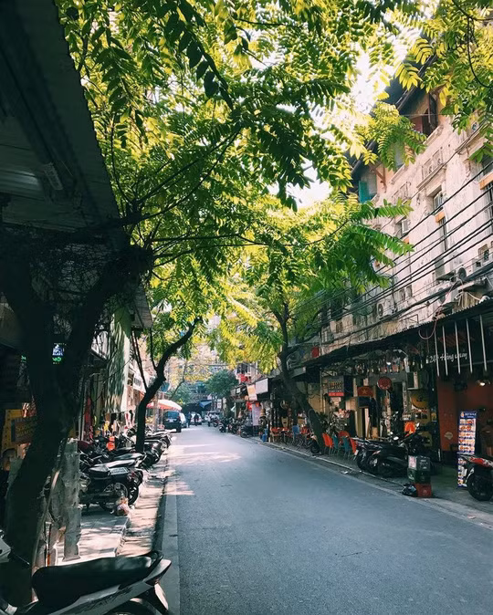 Jono Renton là một nhiếp ảnh gia cảnh quan nổi tiếng ở Anh và đã từng đoạt nhiều giải thưởng nhiếp ảnh lớn nhỏ khác nhau. Vì vậy không có gì lạ khi anh rong ruổi khắp nơi để có được những bức ảnh phong cảnh từ các quốc gia trên thế giới. Và trong chuyến khám phá mới nhất của mình, Việt Nam, anh cho thấy một Việt Nam đẹp đến thổn thức trong video có tên "A trip to Vietnam".