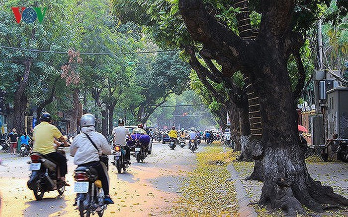 Du bao thoi tiet 5/10: Bac Bo se lanh, mien Trung tiep tuc co mua rao