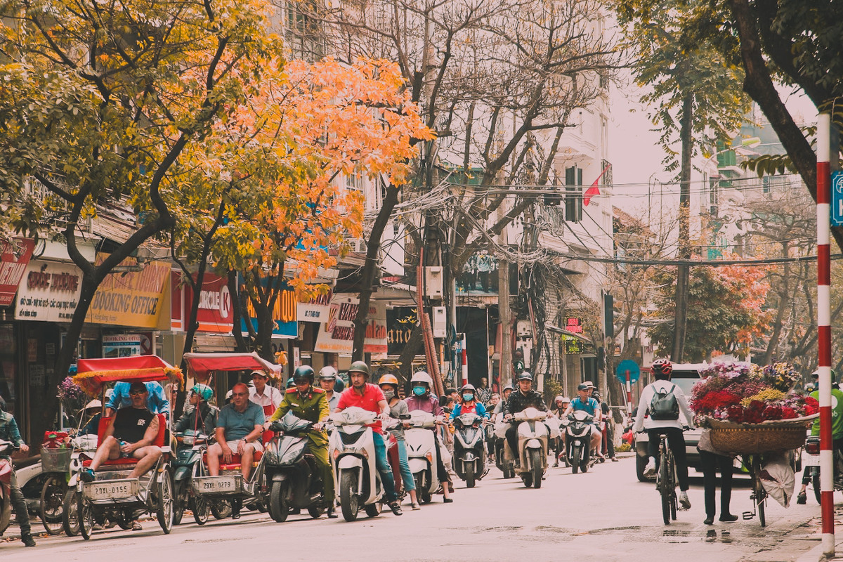 Từng góc phố Hà Nội trở nên sống động hơn với những hàng cây đổ màu vàng hoặc đỏ.