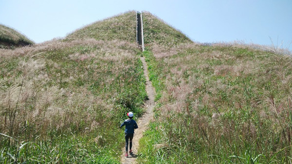 Vào những mùa cỏ lau nở rộ, Bình Liêu chính là địa điểm được nhiều dân phượt săn đón và được ghi lại trong sổ tay của không ít các phượt thủ.