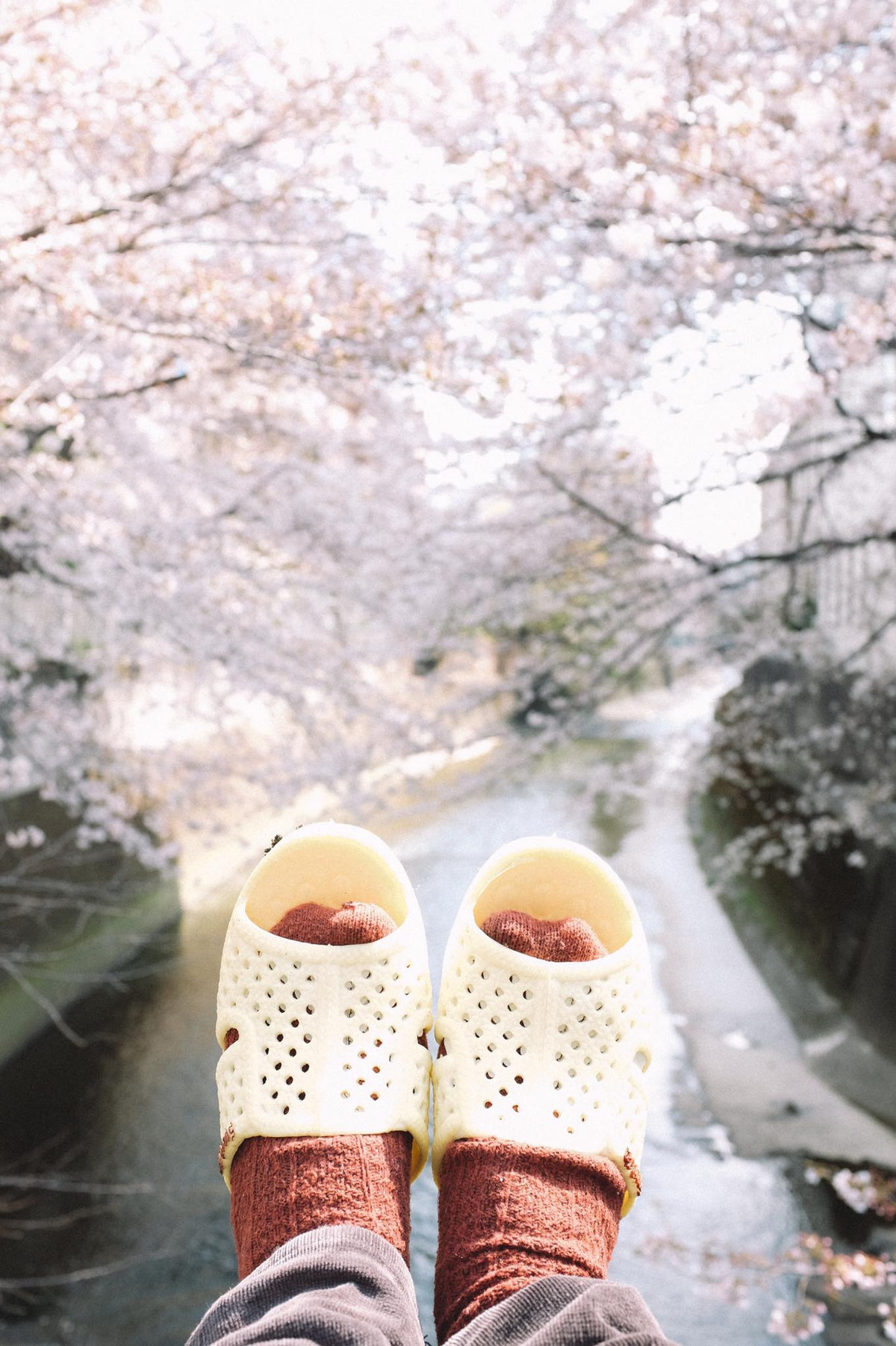 Những địa điểm cực đẹp của Nhật Bản cũng được Sơn Tùng cùng người bạn dép tổ ong của mình đồng hành qua.