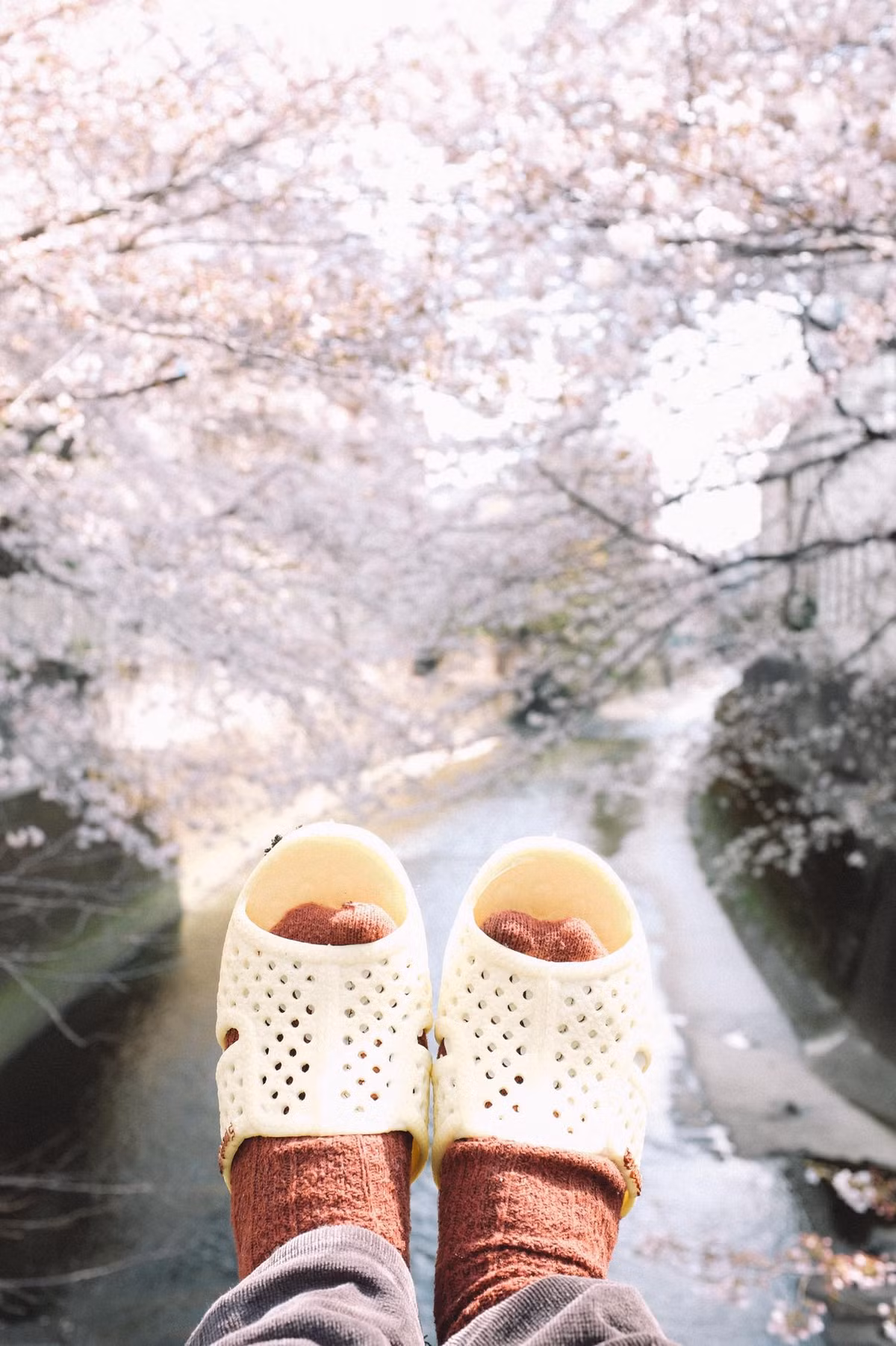 Những địa điểm cực đẹp của Nhật Bản cũng được Sơn Tùng cùng người bạn dép tổ ong của mình đồng hành qua.