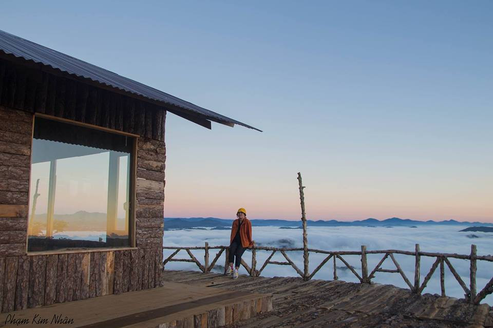 Cầu Đất Farm có diện tích 220ha với những ngọn đồi ươm trà xanh mướt, thẳng tắp và rừng thông bao quanh.