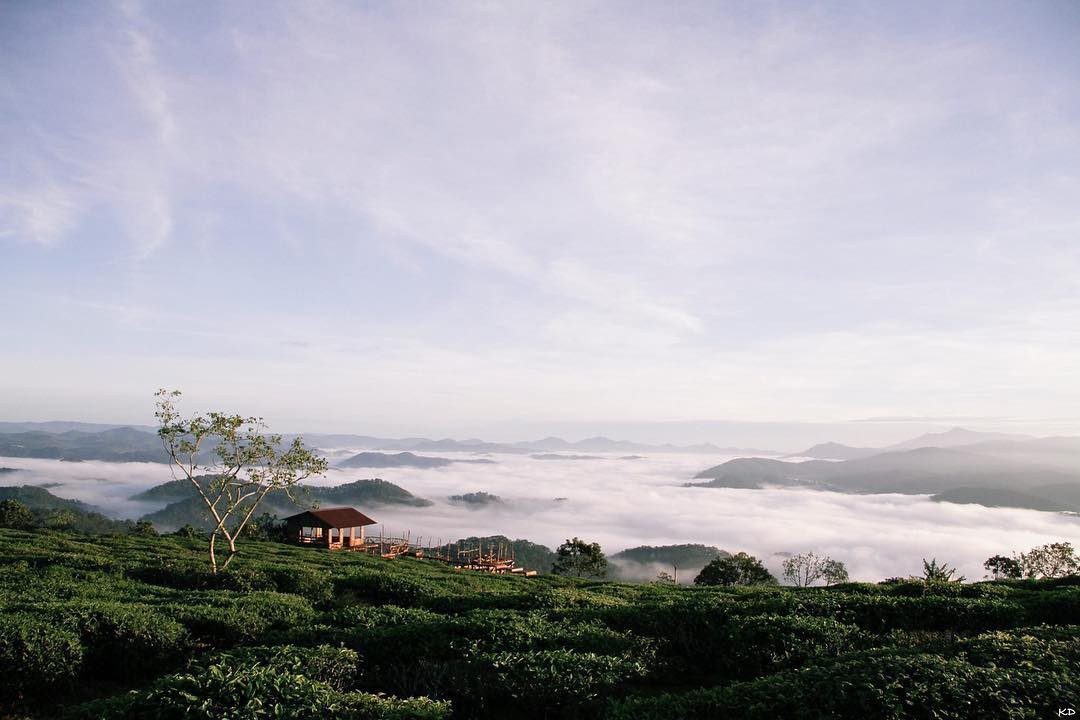 Với những ai lỡ yêu Cầu gỗ, niềm hy vọng lúc này chính là thông báo đóng cửa chỉ mang tính tạm thời. Và nơi này sẽ mở cửa lần nữa, để bao người yêu việc săn mây có thứ để mong chờ.