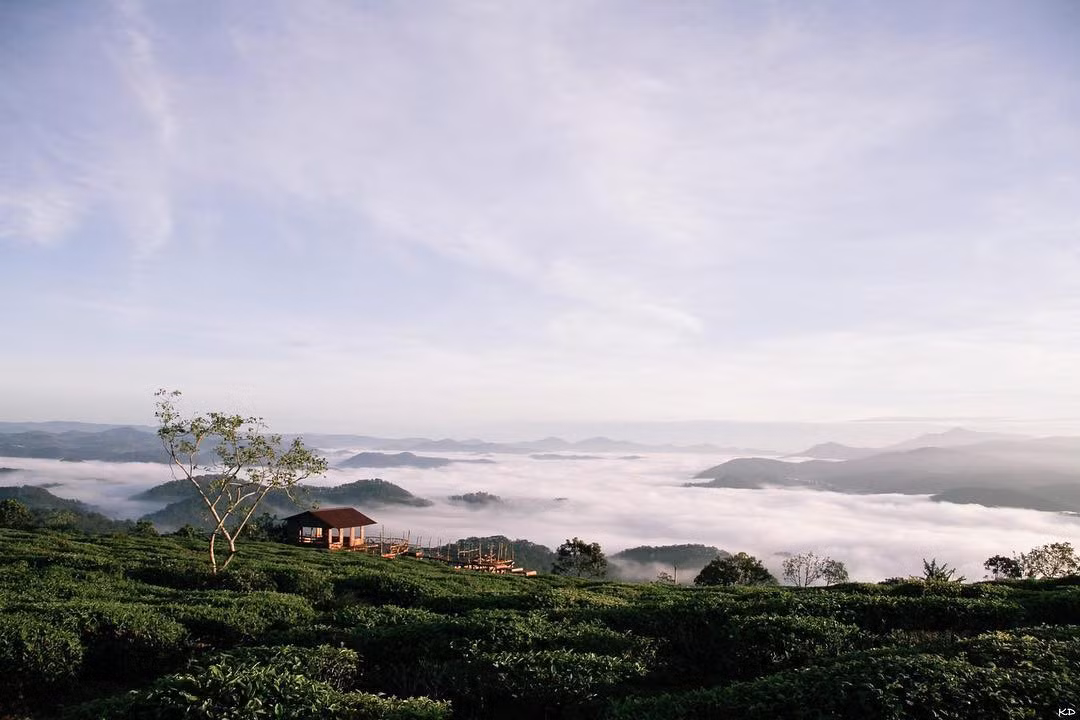 Với những ai lỡ yêu Cầu gỗ, niềm hy vọng lúc này chính là thông báo đóng cửa chỉ mang tính tạm thời. Và nơi này sẽ mở cửa lần nữa, để bao người yêu việc săn mây có thứ để mong chờ.