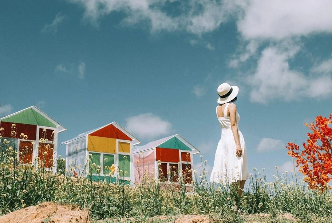 Ngoài "Nấc thang lên thiên đường" ra thì quán cafe kiêm homestay Sunny Farm Đà Lạt còn có lưới trời, cây phong cô đơn, nhà màu, juice bar, và các em thùng phuy dễ thương là các góc chụp để các bạn trẻ tha hồ thả dáng.