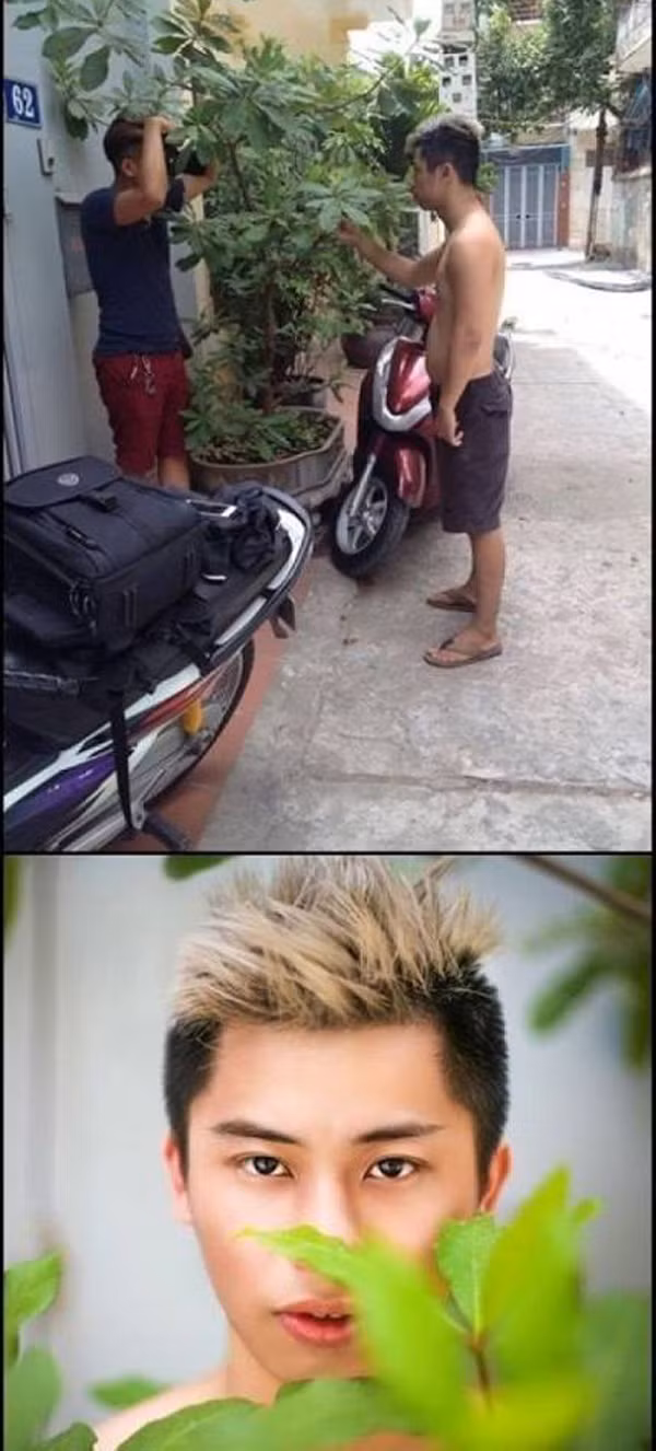 Một khi anh đây đã không muốn chụp ảnh chứ muốn rồi thì chẳng cần gì hết, chỉ cần 1 cái cây và đứa bạn chụp ảnh có tâm thôi là có bức ảnh chất ngất như thế này rồi.