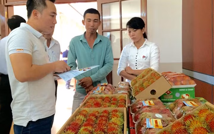 Đây là mặt hàng nông sản thứ 3 của Việt Nam, sau xoài và thanh long được New Zealand nhập khẩu. (Ảnh: Dân Việt)