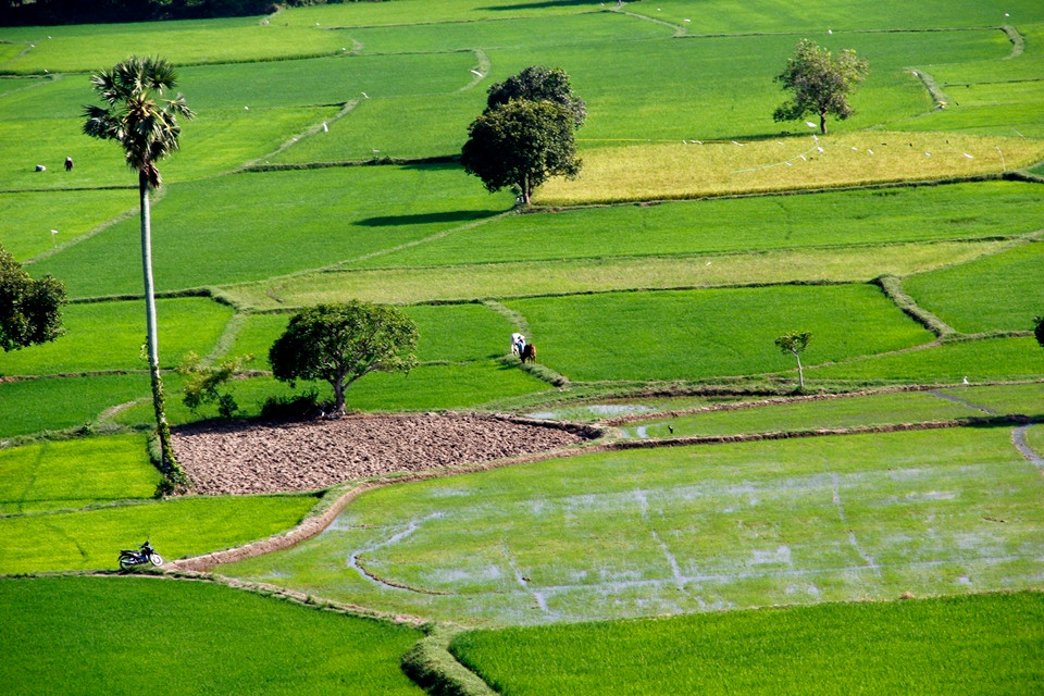 Từ hồ Tà Pạ, du khách có thể thăm quan rừng tràm Trà Sư, viếng thăm chùa Tà Pạ, dạo bước trên cánh đồng Tà Pạ,