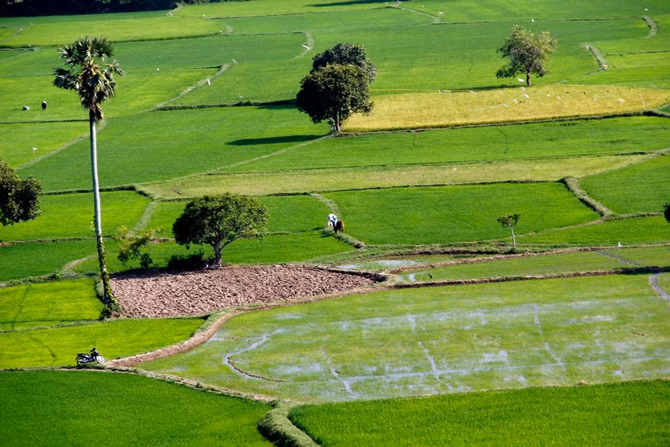Từ hồ Tà Pạ, du khách có thể thăm quan rừng tràm Trà Sư, viếng thăm chùa Tà Pạ, dạo bước trên cánh đồng Tà Pạ,
