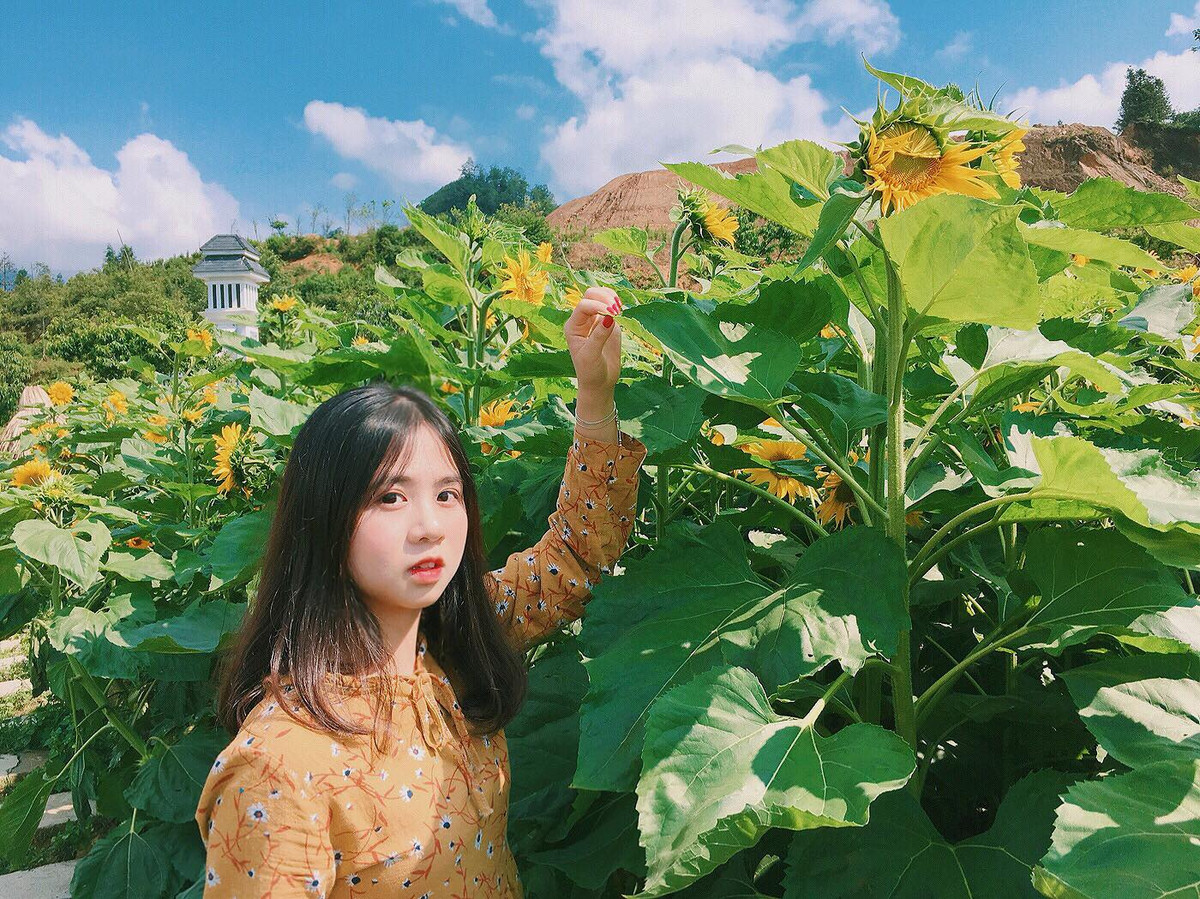 Trở thành tân sinh viên khiến Hồng vừa háo hức vừa có phần lo lắng. Ngoài việc tập trung vào học, cô muốn làm mẫu chụp ảnh lookbook để trang trải phí sinh hoạt.