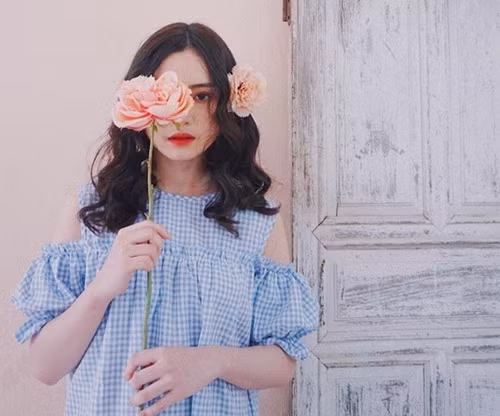 Mặc dù rất nổi tiếng trong giới trẻ Nghệ An, tuy nhiên Phi Linh không muốn mọi người gọi mình là hot girl bởi cô cho rằng nhan sắc chưa đủ đẹp để được gọi như vậy, thêm nữa gọi như thế cảm thấy có khoảng cách không còn sự thân thiện.