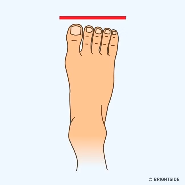 Bàn chân Nông dân: Năm ngón chân dài bằng nhau, tạo thành một “bàn chân vuông”. Hình dáng này cho thấy bạn là người trầm tĩnh, thông minh và cũng rất thực tế. Bạn là người luôn giữ chữ tín. Điều này khiến bạn luôn nhận được sự tin tưởng và yêu quý từ mọi người.