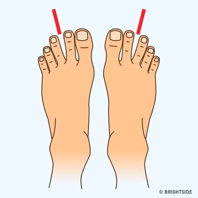 Bàn chân có khoảng cách lớn giữa ngón thứ hai và ngón thứ ba: Chủ nhân của kiểu bàn chân này là người có thể tách bạch cảm xúc với lý trí. Nếu bạn có kiểu bàn chân như vậy, bạn có thể cân nhắc trở thành một nhà ngoại giao, một nhà phân tích, hoặc là một thương nhân.