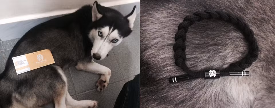 Việc bán hàng online không còn quá xa lạ với nhiều bạn trẻ và họ làm đủ mọi chiêu trò để bán được hàng từ việc miễn phí vận chuyển, giảm giá, tặng kèm theo đồ thì mới nhất là trào lưu lấy thú cưng ra bán hàng cùng để bức ảnh mẫu hàng trở nên "chanh sả" hơn.