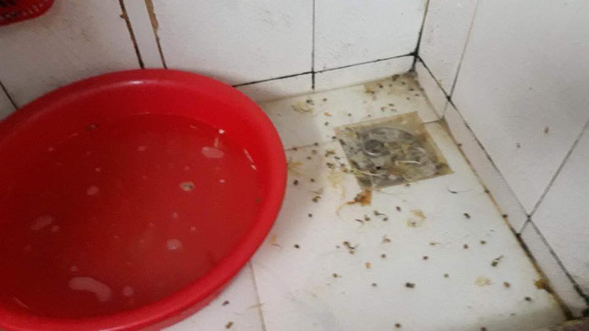 Ngay sau khi xuất hiện bài viết nhanh chóng nhận được vô số phản hồi từ cư dân mạng. Chẳng cần phải nói cũng biết mọi người bức xúc như thế nào.