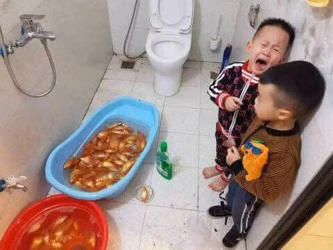 Tam cho ca chep Tao quan, gia dinh nhan cai ket “dang“-Hinh-3