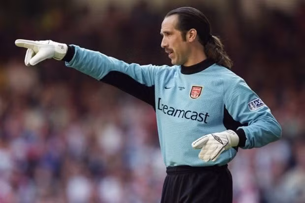 Trước khi chia tay Highbury (sân nhà cũ của Arsenal) vào mùa hè 2003, David Seaman đã giành 3 danh hiệu Premier League, 4 cúp FA, 1 cúp Liên đoàn và 1 cúp C2.