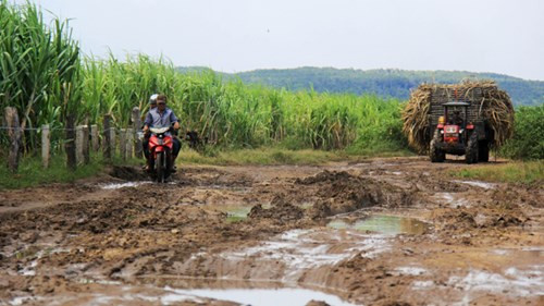Đường đến trường Tiểu học & THCS Đinh Núp, làng Bi Yông dày chi chít ổ gà.