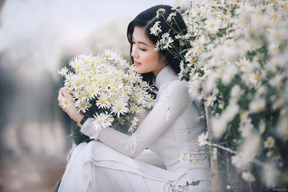 Trần Hiền còn có năng khiếu trong nhiều lĩnh vực nghệ thuật khi từng đứng với những vai trò như: MC, mẫu ảnh. Bên cạnh đó, nữ dược sĩ này từng là thành viên của CLB Báo chí Phát thanh của trường ĐH Dược Hà Nội.