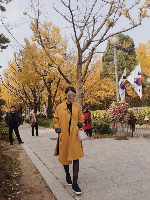 Chính vì vậy mà trong những ngày qua, trên khắp các mạng xã hội, đâu đâu cũng thấy hình ảnh về cảnh đẹp mùa thu Hàn Quốc do giới trẻ Việt đăng tải và chia sẻ.