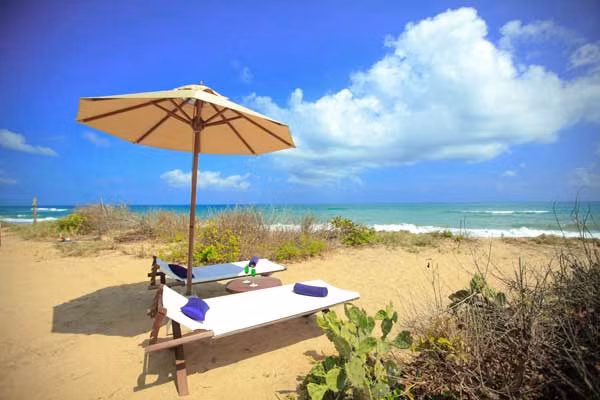 Jungle Beach sở hữu bãi biển thiên đường, bề mặt thoải, cát trắng tinh, làn nước trong xanh. Ngoài việc ngâm mình thư thái dưới biển, bạn nhất định đừng quên ghi lại những bức hình bởi cảnh sắc mê hồn ở nơi đây.